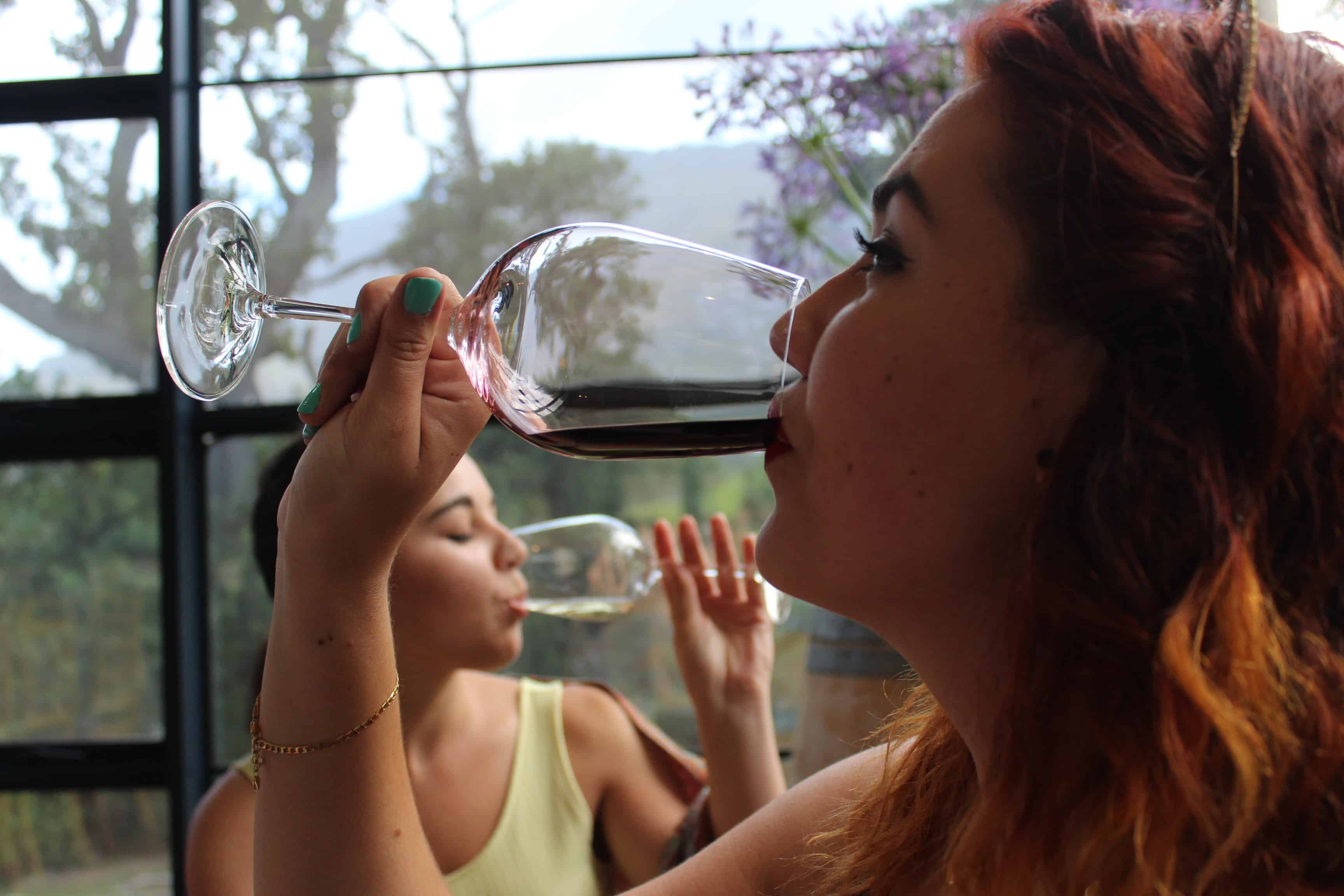 Image: Lanchester Wines makes wine happen